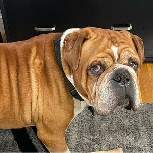 Meet your Posher, Jenni